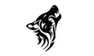 Silver Fox Collectibles Discount Codes